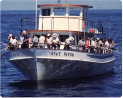 info boat image 1